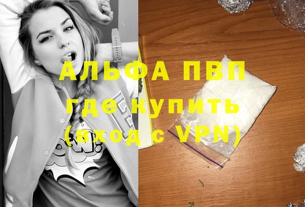 хмурый Осинники
