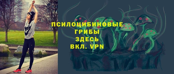 молекула духа Верея