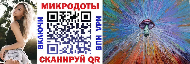 Псилоцибиновые грибы Psilocybe  Пикалёво 